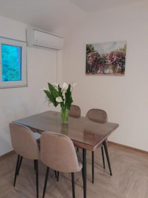 Apartmani Radmanovic
